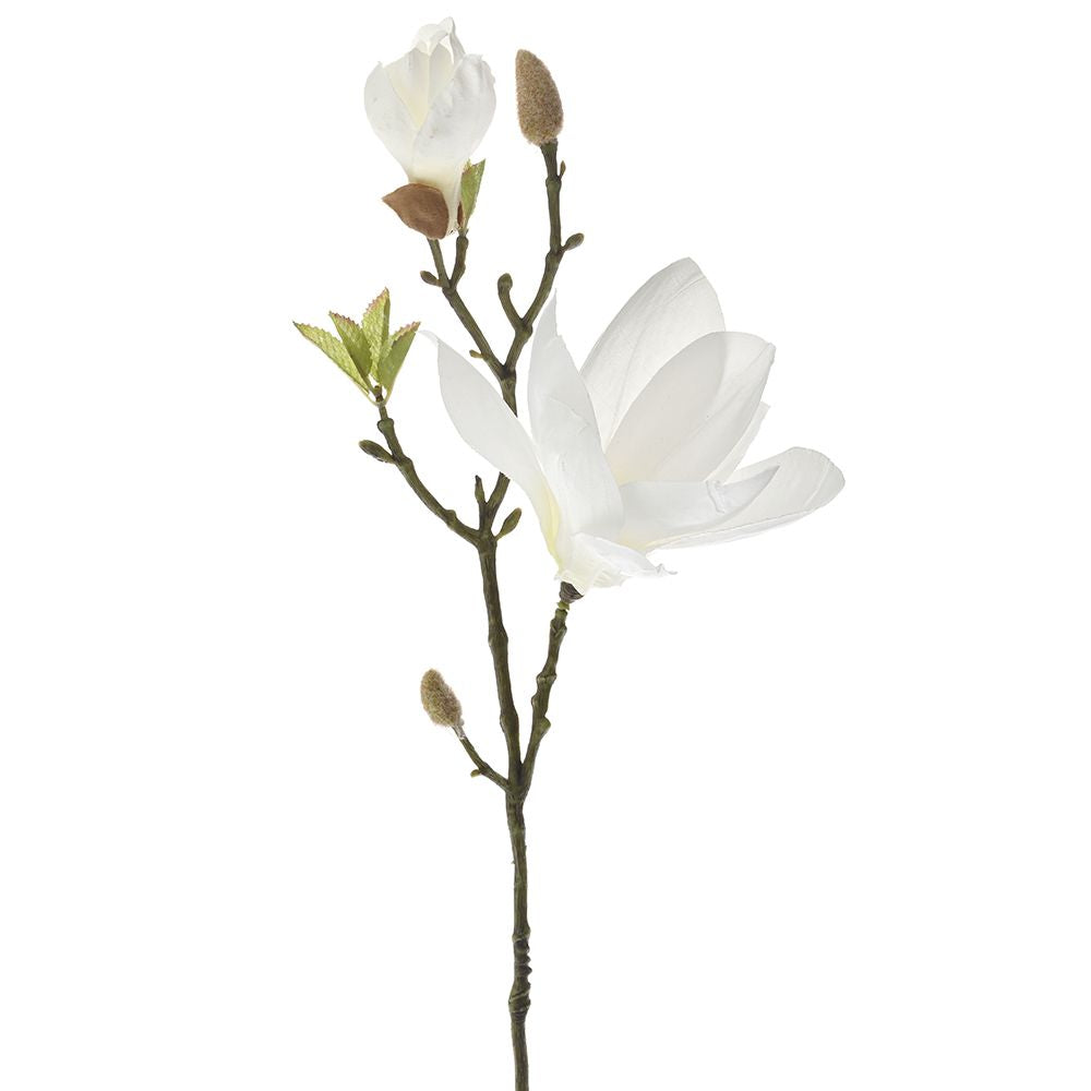 Floare artificiala, Magnolia